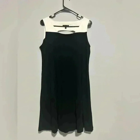 Eileen Fisher Women's Block Cutout Shift Shift Dress Minimalist size M Sleeveles - Picture 1 of 4